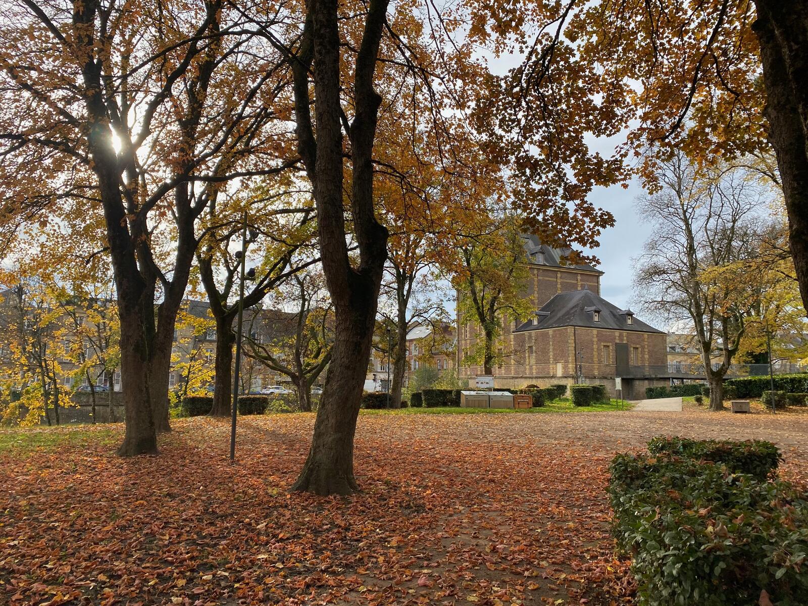 ムーズ側の中洲の公園