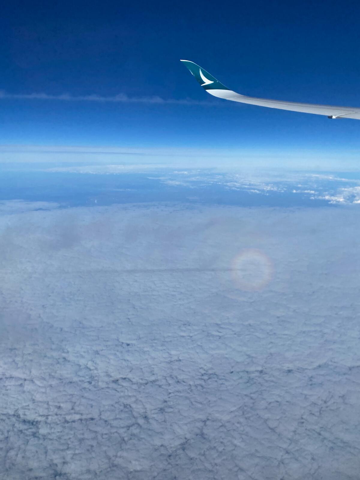 帰りの飛行機から円環状の虹が見えた ブロッケン現象というらしい｡